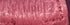 Evelyne Bag Gen III Clemence PM