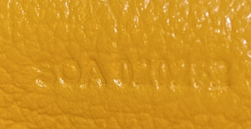 Bonbonnière Bag Coated Canvas