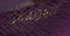 Insolite Wallet Monogram Canvas