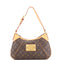 Thames Handbag Monogram Canvas PM