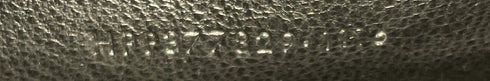 Classic Monogram Wallet on Chain Crocodile Embossed Leather Small