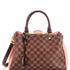 Brittany Handbag Damier