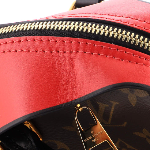 Tuileries Handbag Monogram Canvas with Leather