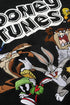 5114 - Looney Tunes Embroidered Hoodies