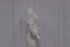 Women's Self-Portrait Floral Eyelet Lace Blouse in White Polyester