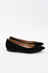 Women's Gianvito Rossi Gianvito Ballet Flats in Black Suede