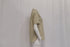 Women's Vince Short Sleeve Poplin Button-Up Shirt in Khaki Cotton
