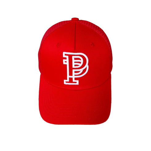 Purple Hat Mesh Stitching Embroidery PB001#