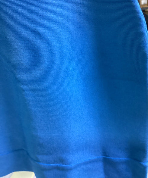 Women's Herve Leger Fitted Mini Skirt in Light Blue Rayon
