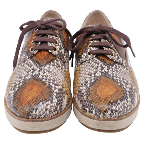 Women's Miu Miu Snakeskin-Embossed Lace-Up Oxford Shoes in Multicolor Leather