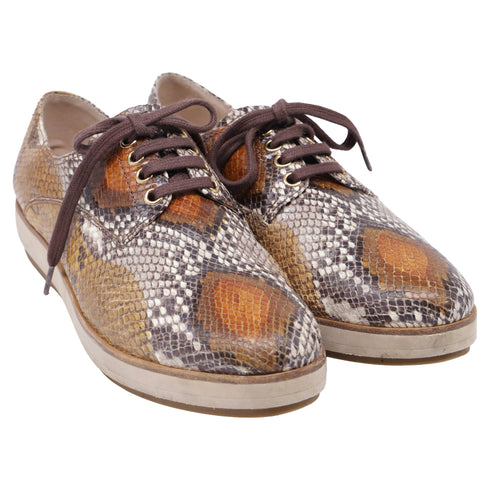 Women's Miu Miu Snakeskin-Embossed Lace-Up Oxford Shoes in Multicolor Leather