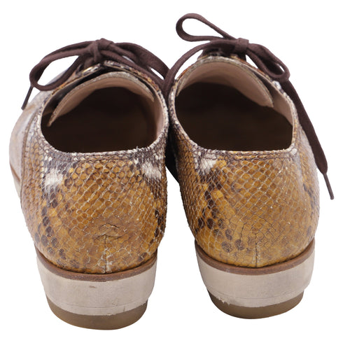 Women's Miu Miu Snakeskin-Embossed Lace-Up Oxford Shoes in Multicolor Leather