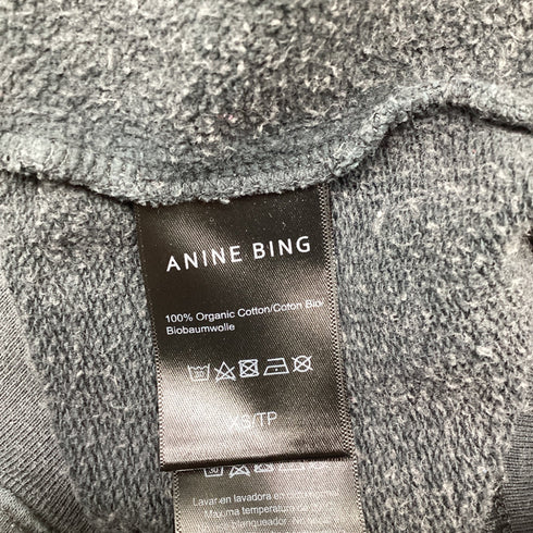 Women's Anine Bing Ramona Stardust Sweatshirt in Grey Cotton