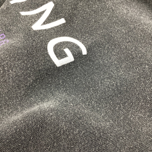 Women's Anine Bing Ramona Stardust Sweatshirt in Grey Cotton