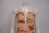 Women's Zimmermann Cascadian Strapless Midi Dress in Peach Cotton