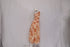 Women's Zimmermann Cascadian Strapless Midi Dress in Peach Cotton
