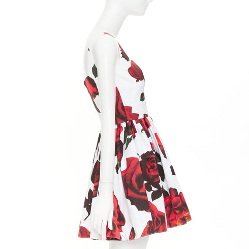 Women's Alexander McQueen 2024 Tudor Rose Skater Mini Dress
