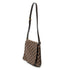 Musette Salsa Handbag Damier