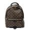 Palm Springs Backpack Monogram Canvas MM