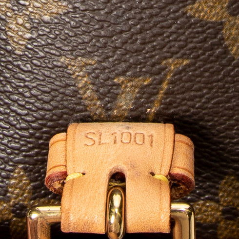 Sologne Handbag Monogram Canvas