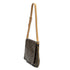 Musette Salsa Handbag Monogram Canvas PM