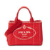 Canapa Convertible Tote Canvas Mini