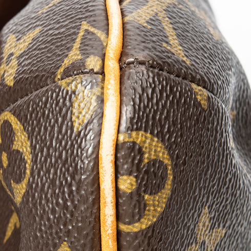 Musette Salsa Handbag Monogram Canvas PM