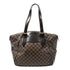 Verona Handbag Damier GM
