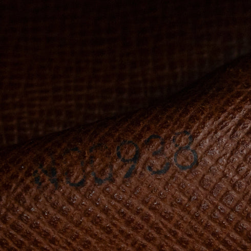 Papillon Handbag Monogram Canvas 26