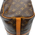 Flanerie Handbag Monogram Canvas 45