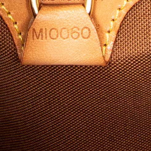 Ellipse Bag Monogram Canvas MM