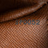 Papillon Handbag Monogram Canvas 26