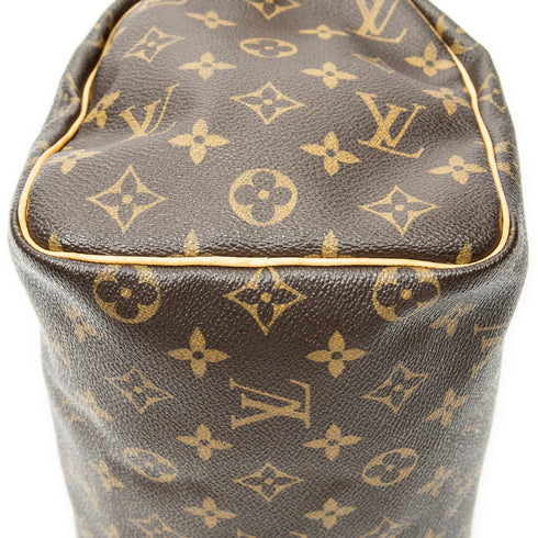 Speedy Handbag Monogram Canvas 25