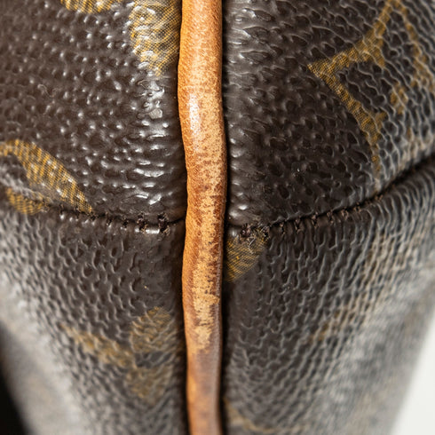 Musette Tango Handbag Monogram Canvas