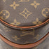 Papillon Handbag Monogram Canvas 26