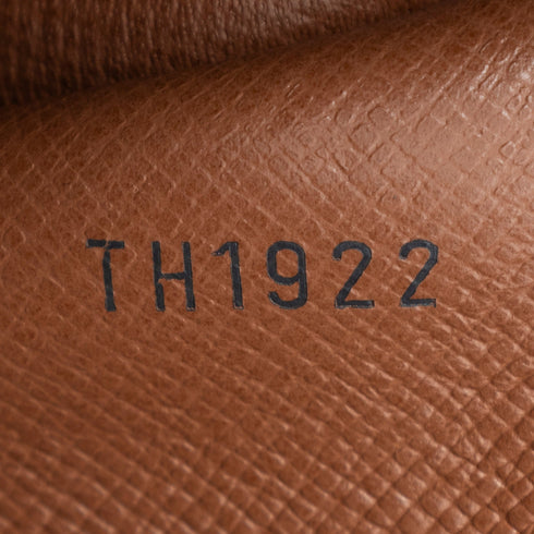 Papillon Handbag Monogram Canvas 26