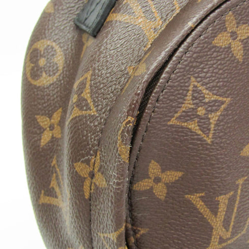Palm Springs Backpack Monogram Canvas Mini