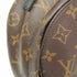 Palm Springs Backpack Monogram Canvas Mini