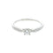 Harmony Ring Platinum with Diamond 0.30-0.39CT