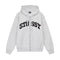 BLOCK SPORT ZIP HOODIE GREY