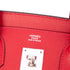 Birkin Handbag Red Epsom with Palladium Hardware 30
