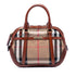 Bridle Orchard Bag House Check Canvas Small