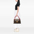 Olympe Handbag Monogram Canvas