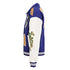 Louis Vuitton Classic Jacket