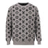 Louis Vuitton Trendy Sweatshirt