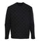 Louis Vuitton Trendy Sweatshirt