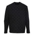 Louis Vuitton Trendy Sweatshirt