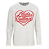 Louis Vuitton Trendy Sweatshirt