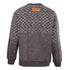 Louis Vuitton Trendy Sweatshirt