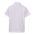 New brand new Gucci T-shirt